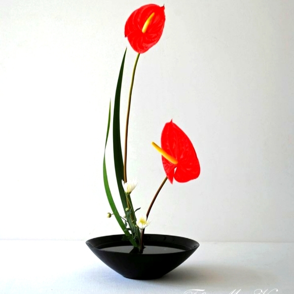 Testing - Picture 1 of 1